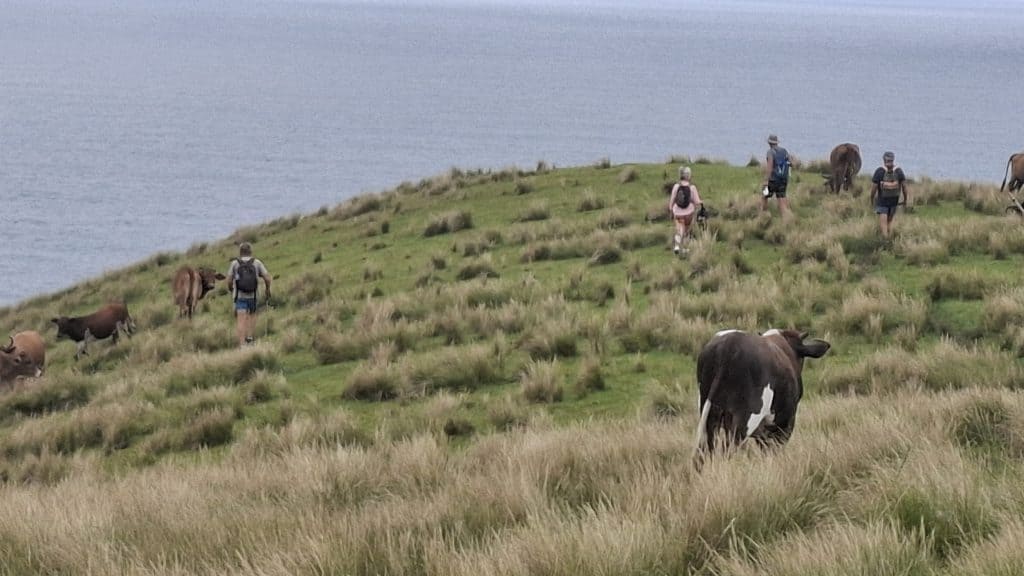 Hike Hole in the Wall to Wild Labanzi