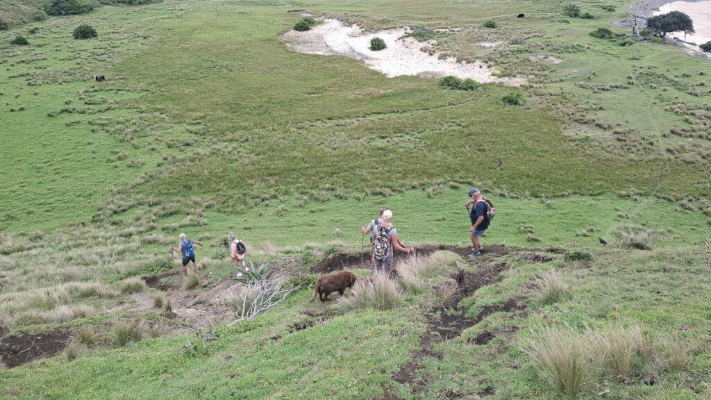Hike Hole in the Wall to Wild Labanzi